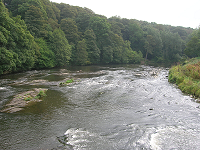 River Wear, Finchale
